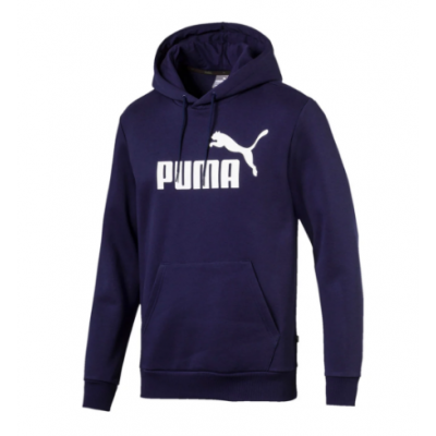 ESS HOODY FL BIG LOGO