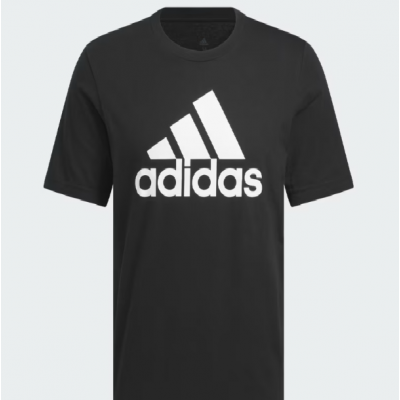 CAMISETA BIG LOGO MASCULINA